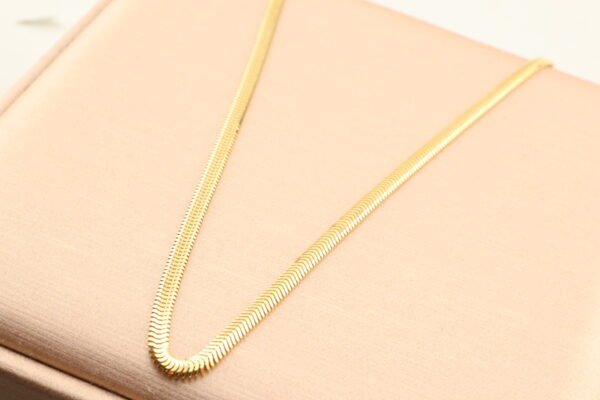 Gold soft light snake bone necklace - 金緻柔光蛇骨鍊