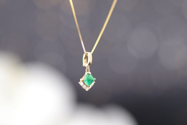 Forest Light - 森林之光