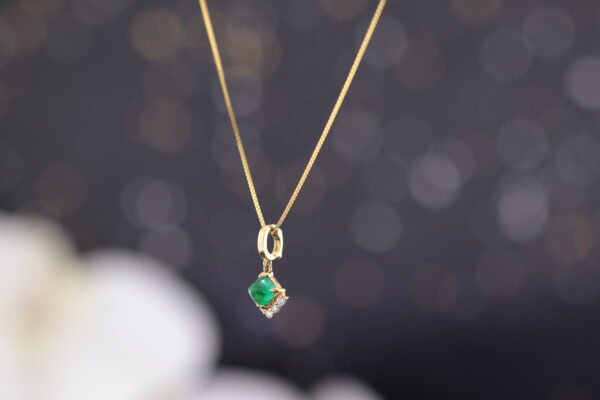 Forest Light - 森林之光