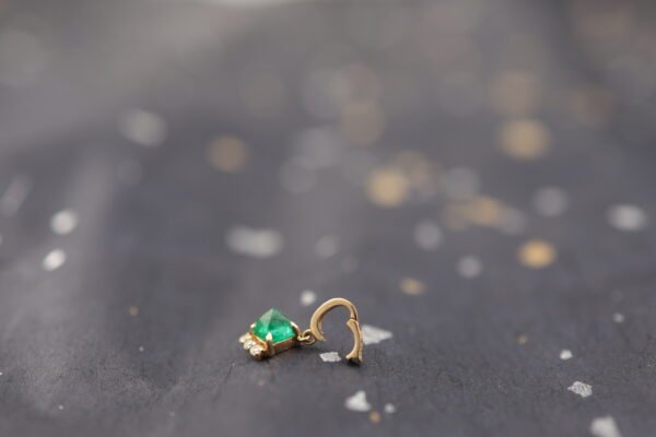 Forest Light - 森林之光