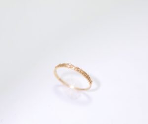 Golden Constellation - 金色星座