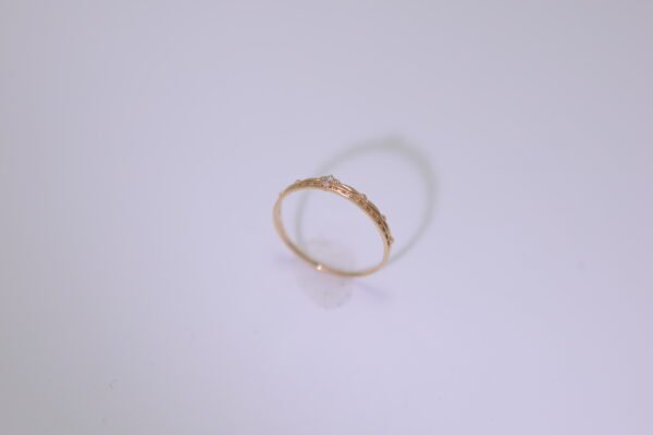 Golden Constellation - 金色星座