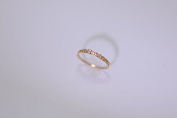 Golden Constellation - 金色星座