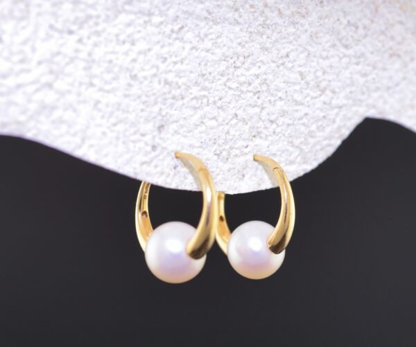 Golden Shell Treasures - 金貝珍寶