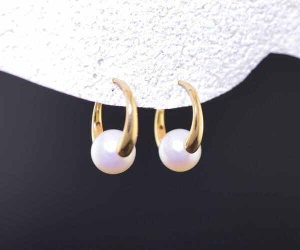 Golden Shell Treasures - 金貝珍寶