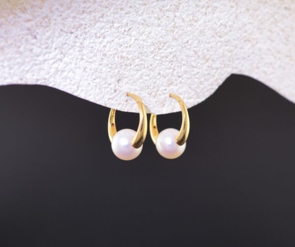 Golden Shell Treasures - 金貝珍寶